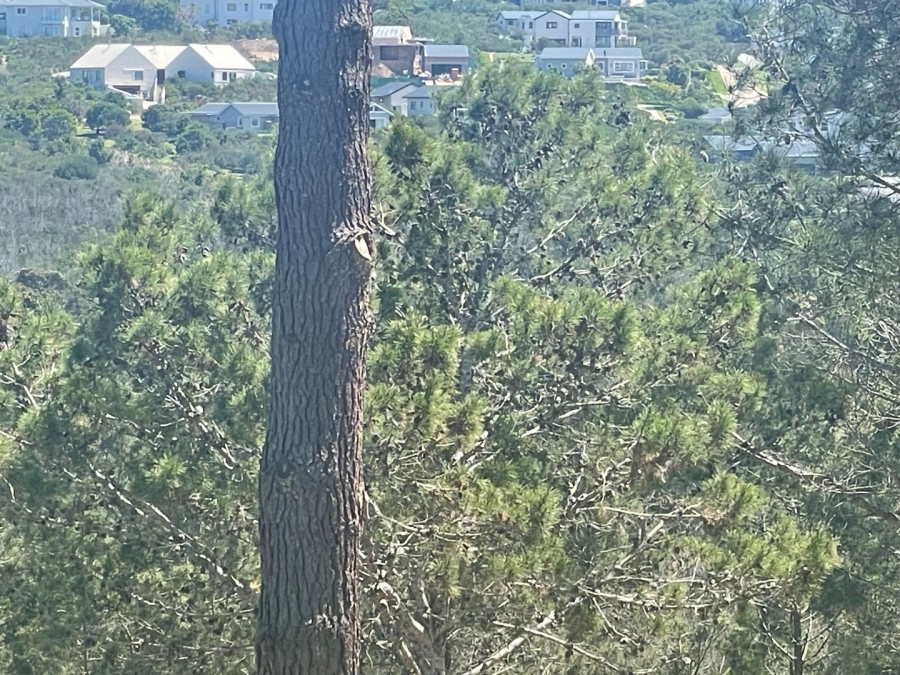 Commercial Property for Sale in Brakkloof Ah Western Cape